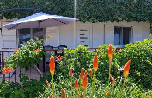 Apartments Iris - Photo 1