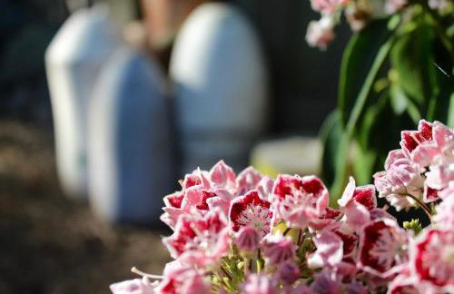 Modern Cottage with Peeks of Ocean Views - Foto 38