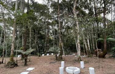 Bosque na Montanha Encantada - Foto 77