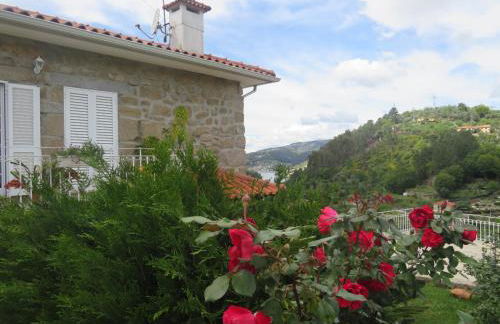 Douro Studio - Foto 20