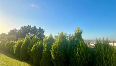 Puesta de Sol Doñana Adults Only - Foto 5, Garden