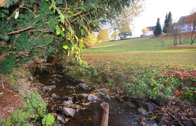 Modern Group of Homes Close to Willingen and Winterberg With Large Garden - Foto 48