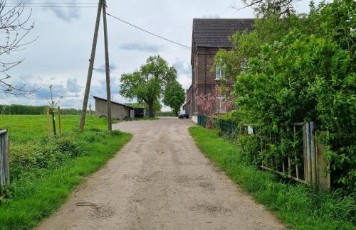 Gutshaus Michelshof - Viel Platz in der Natur - Foto 15