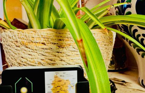 Casa Rural al Sol De Las Ruinas- piscina privada - Photo 47