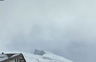 Biznaga Nevada - Foto 59