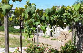 Pousada Bella Vista - no coração do Vale dos Vinhedos - Foto 75