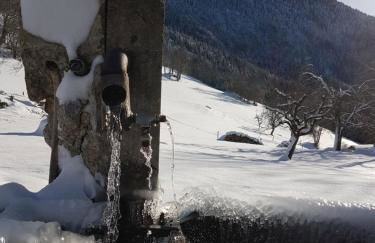 Studio Les Chanterelles - Photo 16