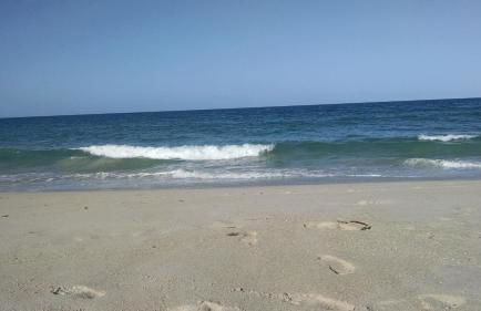 1 Beige Cozy Bungalow or 1 White Cozy Efficiency Cottage in Titusville - Foto 45