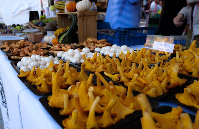 Luxury Apartment Stancesvic - Foto 37