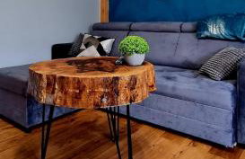 Myśliwska chata Staś i Nel - Foto 13