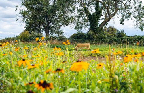 Veiko - Mayflower Meadow - Foto 21