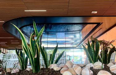 Blue Reef 6th Floor Sea View - Foto 8