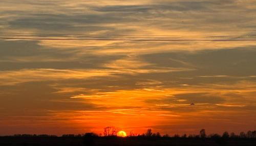 The Carriage Ely - Foto 3