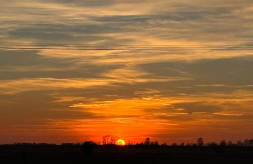 The Carriage Ely - Photo 3