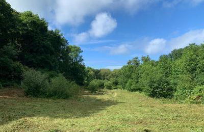 Wild Coastal Retreat at Troed Y Rhiw Aberporth, West Wales - Foto 54