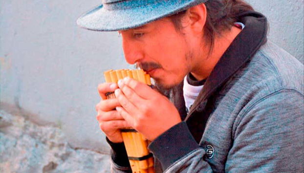 Visitaremos uma oficina de luthier