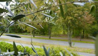 Modernes 2-Zimmer Apartment mit Balkon - Foto 3