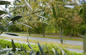 Modernes 2-Zimmer Apartment mit Balkon - Foto 3