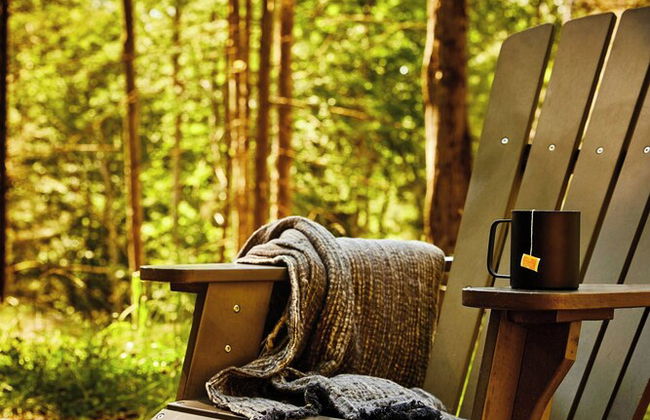 Postcard Cabins Dale Hollow, Outdoor Collection by Marriott Bonvoy - Foto 24