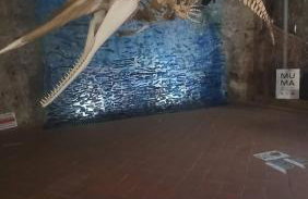 La casa di nonna Carmelina - Foto 23