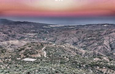 La Biznaga - Comares - Foto 10