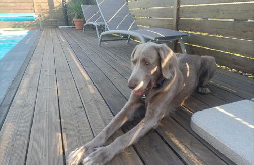 Villa Chrysalide - Foto 15