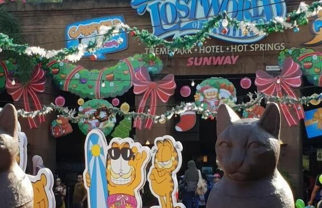 Tambun D'Mewah homestay - Foto 29