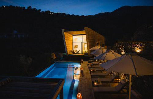 Five Olive Dream Trip - Photo 53