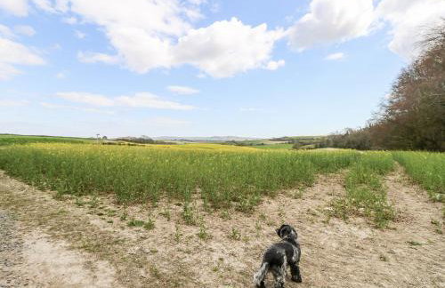 The Old Dairy - Photo 18