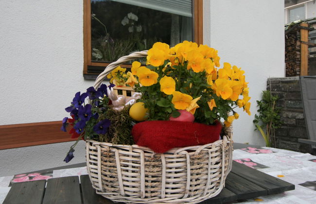 Brettfall Blick - Foto 34