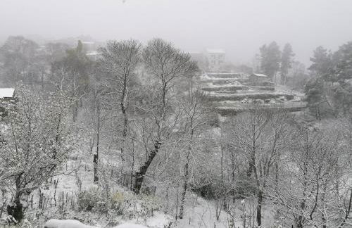 Casa Largo S Lourenço e Casa da Videira - Photo 37