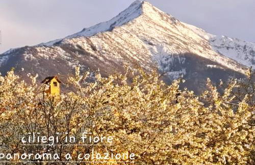 Cascina La Commenda - Foto 62