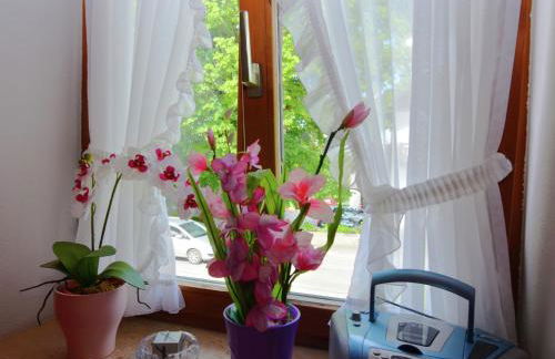 Ländliche Ferienwohnung, Bad Bayersoien - Foto 13