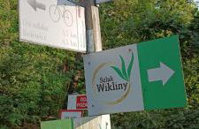 Osada California - Foto 47