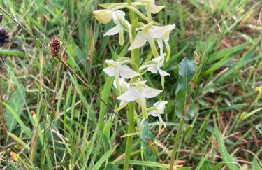 Rechullin, Torridon - Photo 2