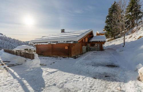 Chalet Coelacanthe - Photo 35