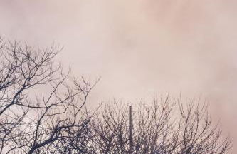 Torrepe - baskeyrentals - Foto 33