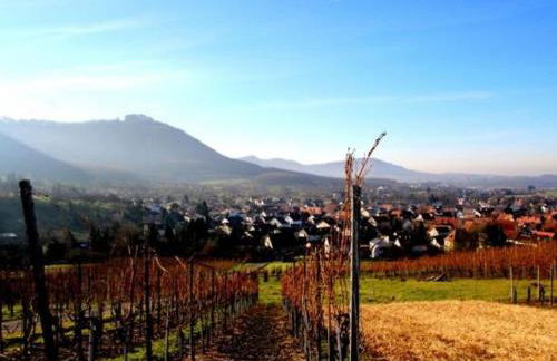 Ferienwohnungen Dieterich - Foto 7