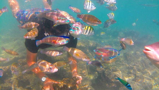 Barú Peninsula Snorkeling Trip - Foto 2