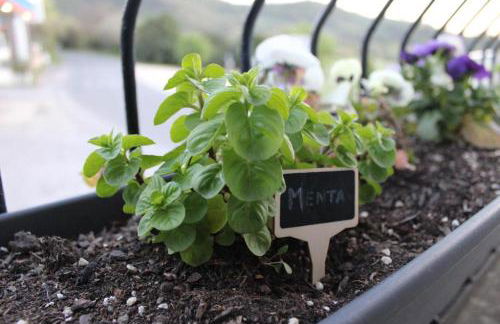 La finestra sul Farfa - Foto 37