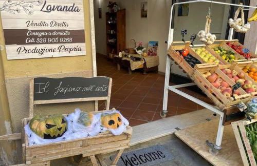 The 4 Senses Experience - Foto 53