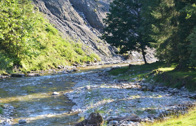 Schattaugut - Foto 20