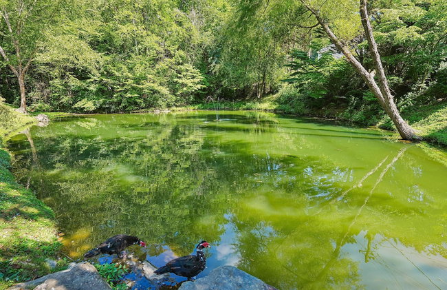 Cub's Cove by Jackson Mountain Rentals - Photo 27
