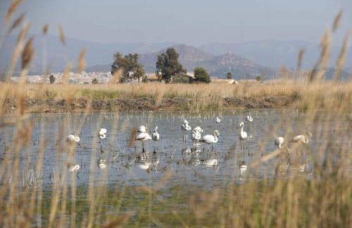 Studio Almenara Beach - Foto 12