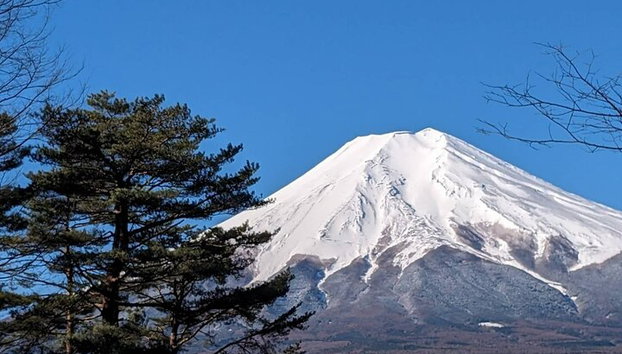 Tour privato in auto al Monte Fuji da Tokyo - Foto 4