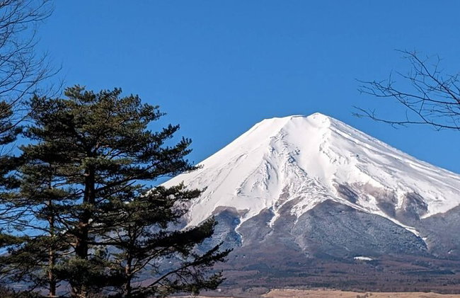 Tour privato in auto al Monte Fuji da Tokyo - Foto 4