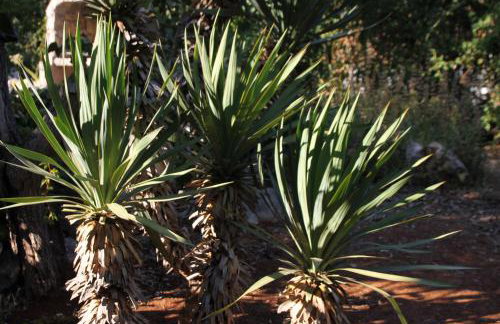 Romantisches Ferienhaus mit großem Garten 1200 qm, nah zu einem schönen Strand - Foto 27
