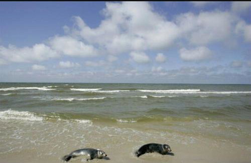 Agroturystyka Pod Dębami w Klukach - Foto 39