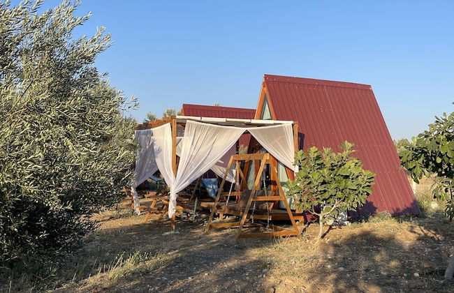 Bıngıdı Bungalov - Foto 33