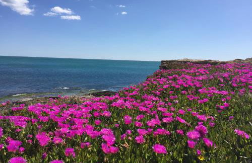 Seafront Dream Apartment - Foto 41